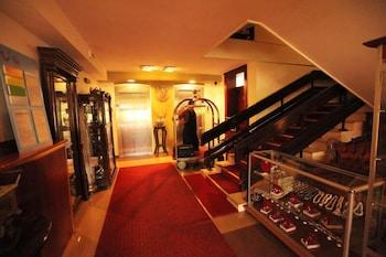 Belvedere 4*